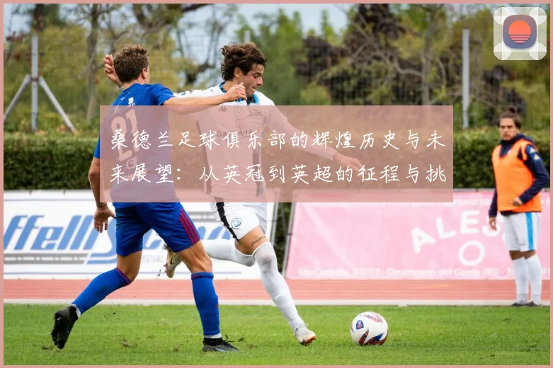 桑德兰足球俱乐部的辉煌历史与未来展望：从英冠到英超的征程与挑战