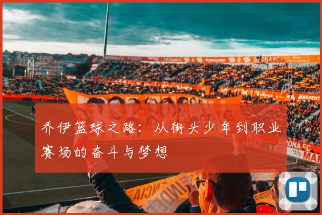 乔伊篮球之路：从街头少年到职业赛场的奋斗与梦想