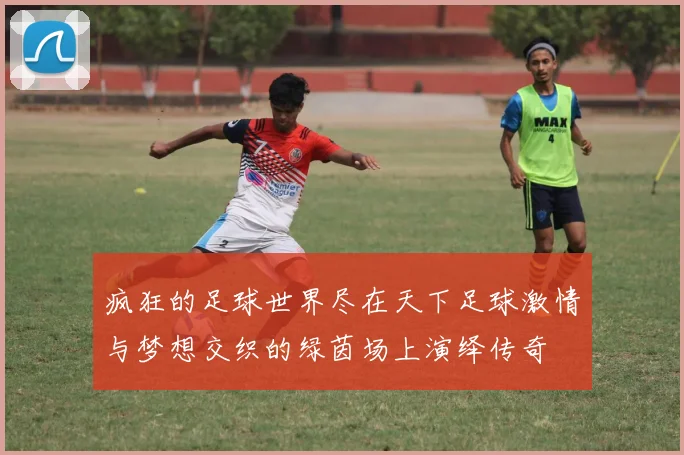 疯狂的足球世界尽在天下足球激情与梦想交织的绿茵场上演绎传奇